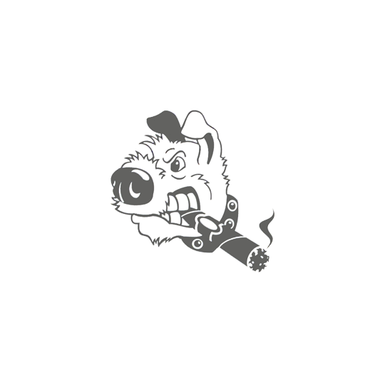 CV